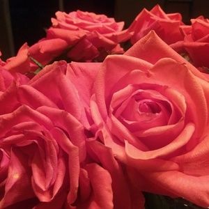 Meet your Posher, Meg